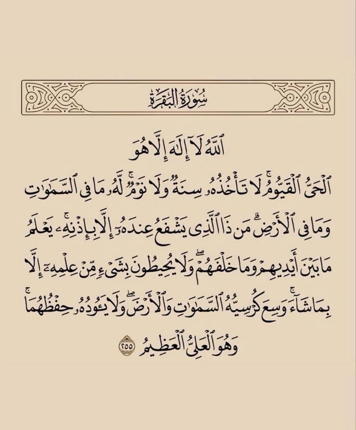 awarenes-icone
