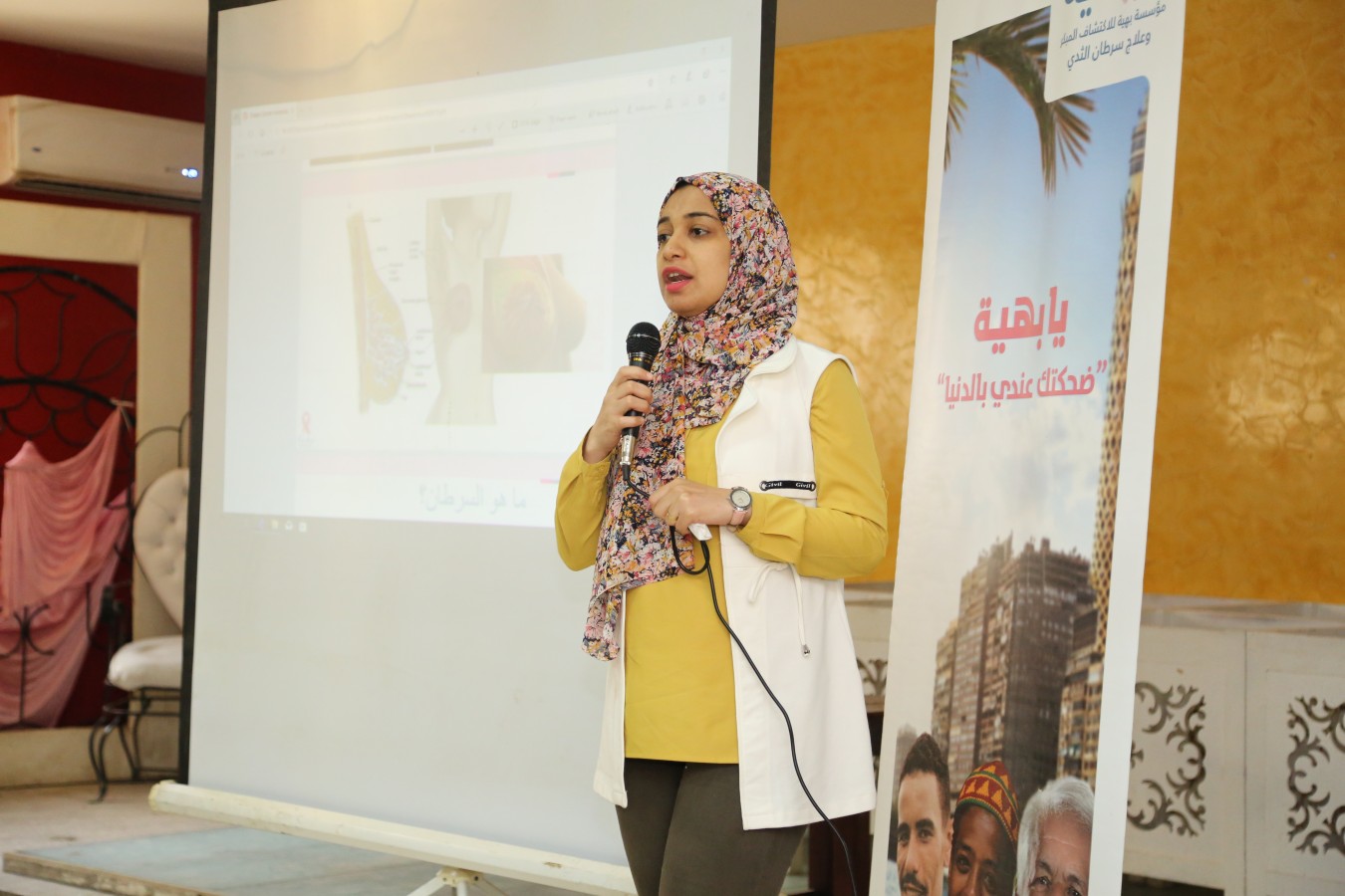 مؤسسة بهية هي مؤسسة تقوم بعلاج المرضى من سرطان الثدي بالمجان، وإلى جانب ذلك فإنها تقوم بتقديم ندوات التوعية في مختلف قرى ومحافظات مصر